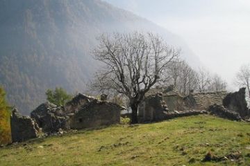 Sfoglia la galleria